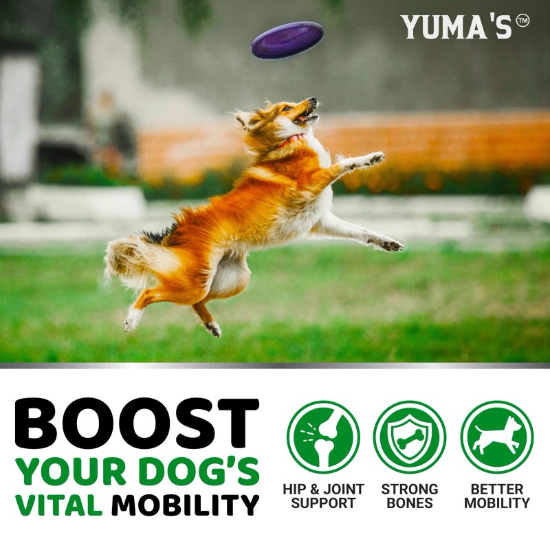 YUMA'S Glucosamine for Dogs - Hip and Joint Supplement for