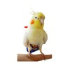 HayKiki Bird Diapers and Parrot Flight Suit Clothes with Leash,