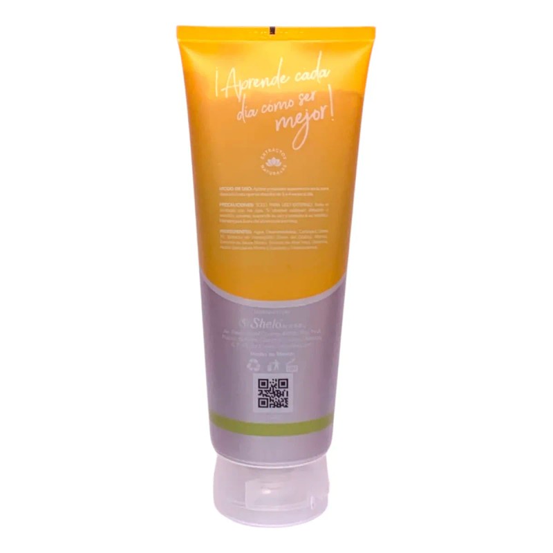 Topico Gel Golpes Shelo Nabel 250ml