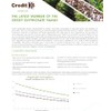 Credit K6 Post-Emergent, Systemic Herbicide- Glyphosate: 48.7%