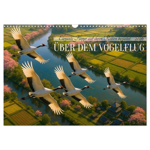 Über dem Vogelflug (Wandkalender 2026 DIN A3 quer), CALVENDO Monatskalender