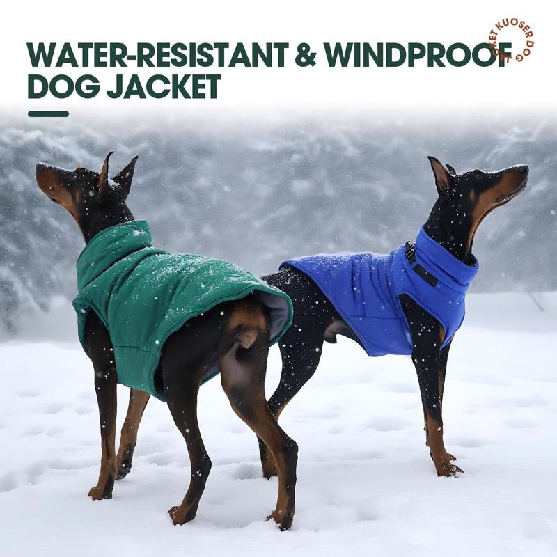 Kuoser Tiny Dog Coat Waterproof XS with Harness | ·Zip