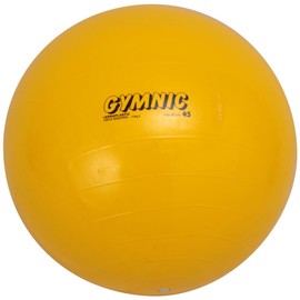 ダンノ(DANNO) ギムニクカラーボール 45cm D5430
