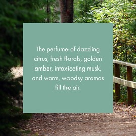 Monthly Fragrance Cartridge for ScentAir Whisper Home (A Walk in the Woods)