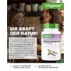 vit4ever Monk's Pepper - 365 Tablets - High Dose with