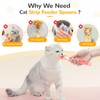 BAEJMJK 4pcs Cat Strip Feeder Sliding Pet Cat Treat Spoon
