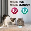 Pet intelligent mouse toy with automatic only running simulation
