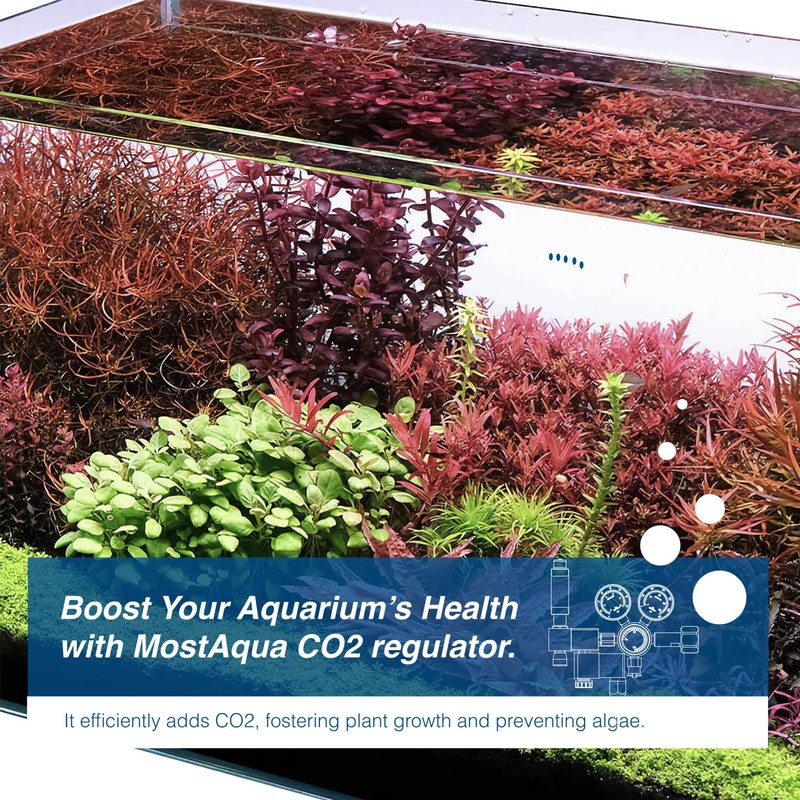 MostAqua Aquarium Dual Stage Co2 Regulator, Pro-Master Series, Co2 System