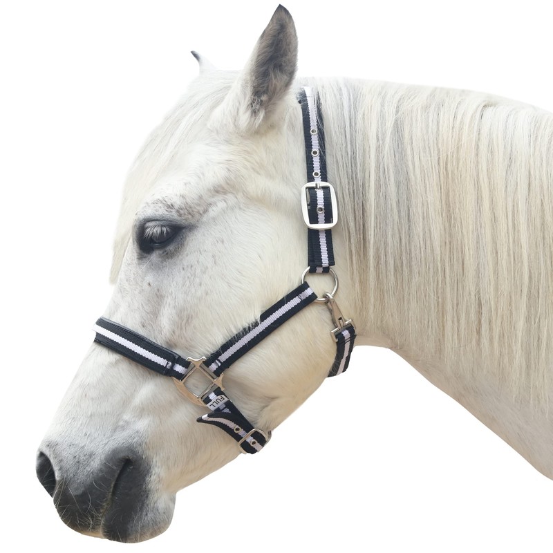 Gallopoff Headcollar for Horses, Thickened Adjustable Headcollar, Horse Halter, Durable