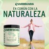 COMMONS Hongos Adaptógenos Hongo Maitake Suplemento Alimenticio En Polvo