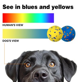 Lepawit Dog Balls for Aggressive Chewers, Tennis Balls Dog Toys, Bouncy Indestructible Teething Chew Dog Ball for Small Medium and Large Dogs, Floating Dog Toys for Water Fetch - 4 Balls