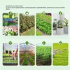 Soil Moisture Meter Professional High Sensitivity Accurate 4 in 1