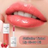 Tinted Lip Oil, Tinted Nourishing Hydrating Lip Gloss, Beauty Supplies