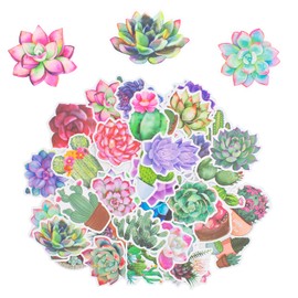 50 Pieces Cactus Succulent Plants Stickers No-Duplicate Watercolor Succulents Decor Bulletin Board Stickers Classroom Party Decoration Waterproof Vinyl Decals for Scrapbook Bottle Phone Window Wall
