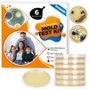 Mold Test Kit for Home Testing: 6 Counts DIY at