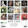 Cats 2026 12" x 12" Wall Calendar