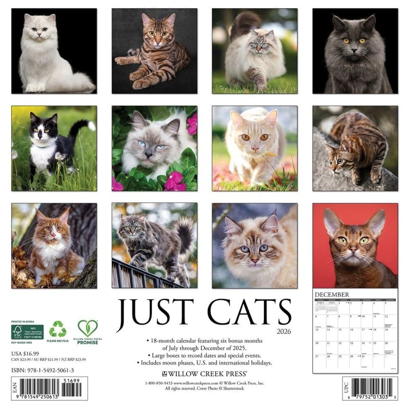 Cats 2026 12" x 12" Wall Calendar