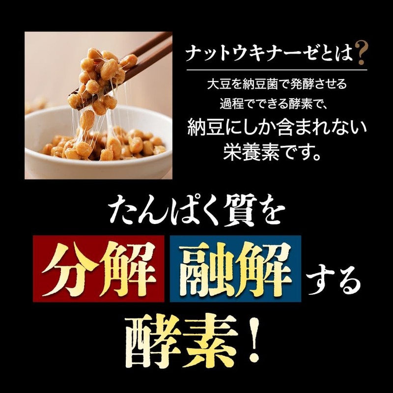 オーガランド (ogaland) ナットウキナーゼプレミアム4000FU (180粒 / 約6ヶ月分) 4000FU サプリ (納豆菌/デキストリン) 菌活