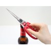 Kiya Kitchen Scissors, Nocturne, Cooking Scissors, Made in Japan (Red)