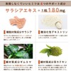  LOHAStyle Salacia Sylvester EX Made in Japan 90 days