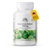 Gotu Kola 750 mg - 120 Tablets - High Dose