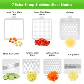 LHS Multifunctional Food Chopper - 10 in 1 Veggie Slicer, Dicer, Cutter for Onions, Potatoes and More - Black Container Included