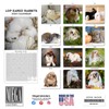 2024 2025 Lop Eared Rabbit Calendar - Cute Animal Monthly