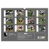 Teamsport Lacrosse Face-Off (Wall Calendar 2026 DIN A3 Landscape), CALVENDO
