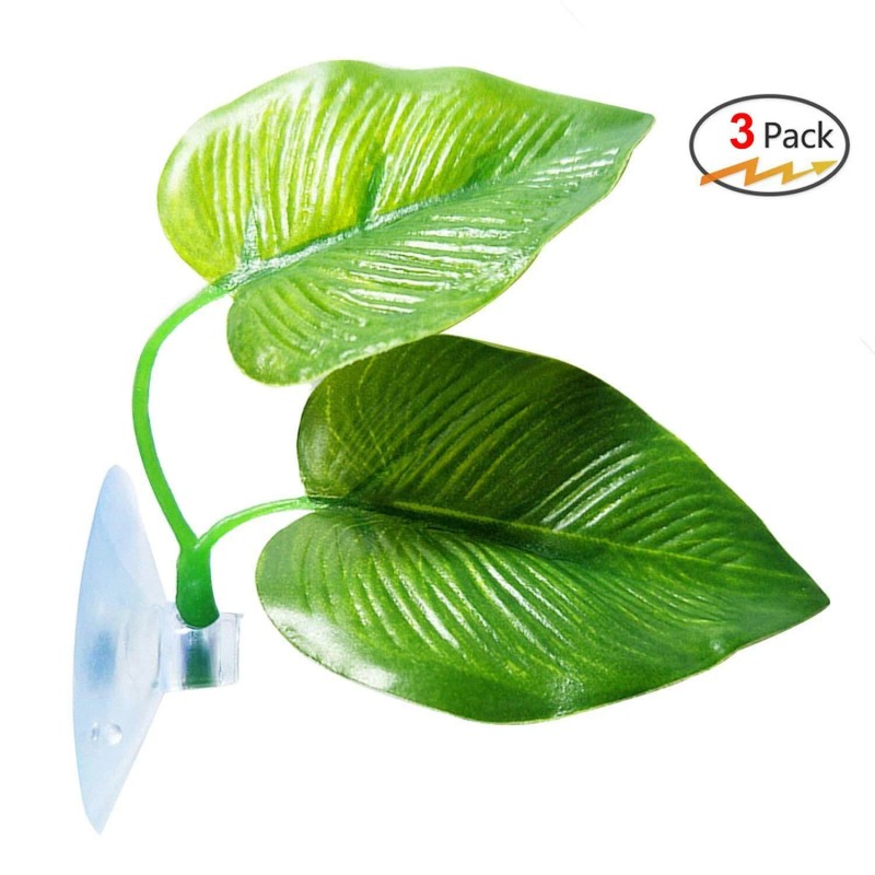CousDUoBe 3 Pack Betta Fish Leaf Pad Improves Betta's Health