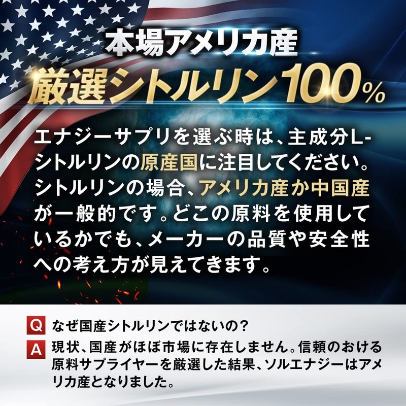 Mr.GINO ソルエナジー 米国産シトルリン アルギニン サプリ 亜鉛 マカ 全16成分 65,754mg 180粒