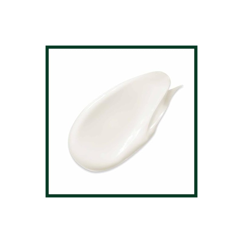 Aveda Botanical Repair Acondicionador Fortalecedor | Repara el cabello