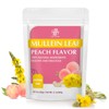 iMATCHME Mullein Tea for Lung Cleanse, Respiratory Support and Mucous
