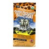 Raven's Brew Coffee Bold Organic Coffee Dark Roast Whole Bean