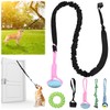 Hiboom 6 Pcs Interactive Dog Tug of War Toy Set