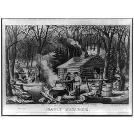 Unbranded Photo:Maple Sugaring. Early Spring in the Northern Woods 1872