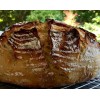 Heritage Sour SOURDOUGH STARTER DEHYDRATED STRONG 125+ YRS SAN FRANCISCO