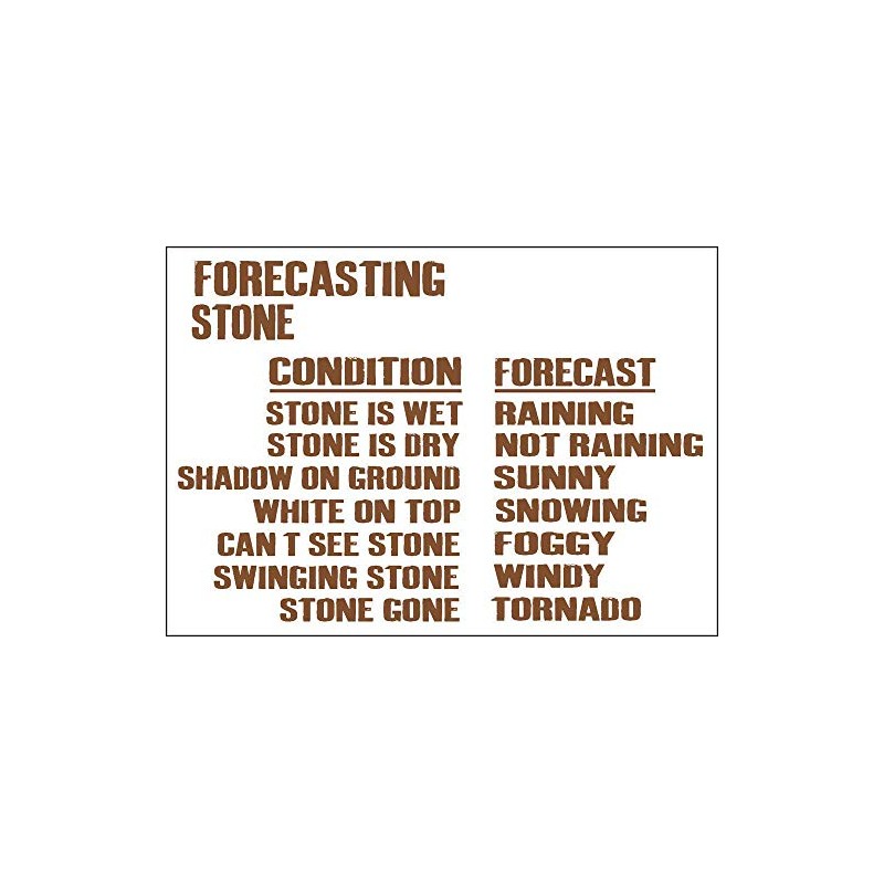 DOGT Metal Sign 8x12 inches Weather Forecasting Stone Metal Sign