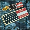 USAF Veteran Flag Lapel Pin