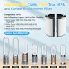 2 Pack Combi 360°Glass HEPA+Activated Carbon Filter For Dyson HP1