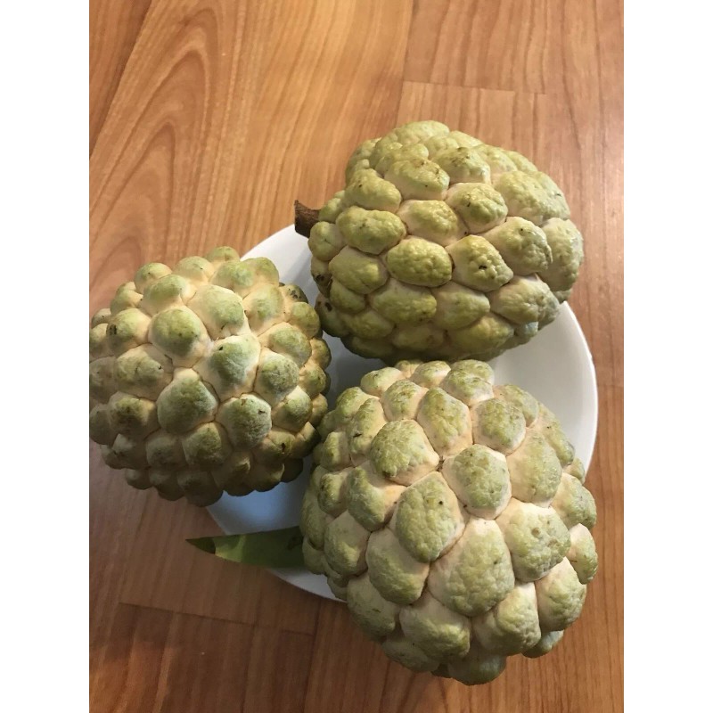 Tree 1 Sugar Apple Na Dai( Mãng Cầu Dai) 5”