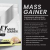 Suplemento Polvo Psn Whey Protein Mass Gainer 27kg Vainilla