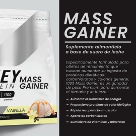 Suplemento Polvo Psn Whey Protein Mass Gainer 27kg Vainilla