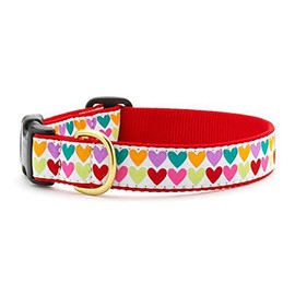 Up Country Heart and Valentine Patterns Dog Collars and Leashes (Pop Hearts Dog Collar, Small (9 to 15 Inches) 1 Inch Wide Width)