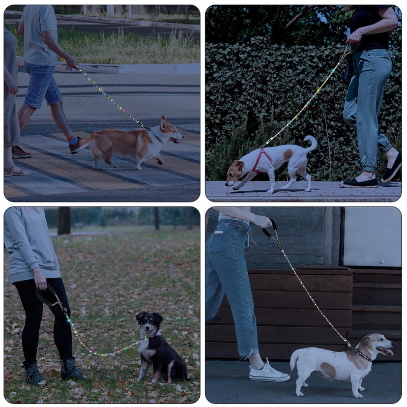 PetBonus 5 FT LED Dog Leash, Rechargeable Light Up Rope