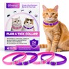 Collare Antiparassitario Per Gatti 4 Pezzi, Impermeabile Collare Antipulci e