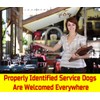 Just 4 Paws Custom Service Dog ID Card with QR