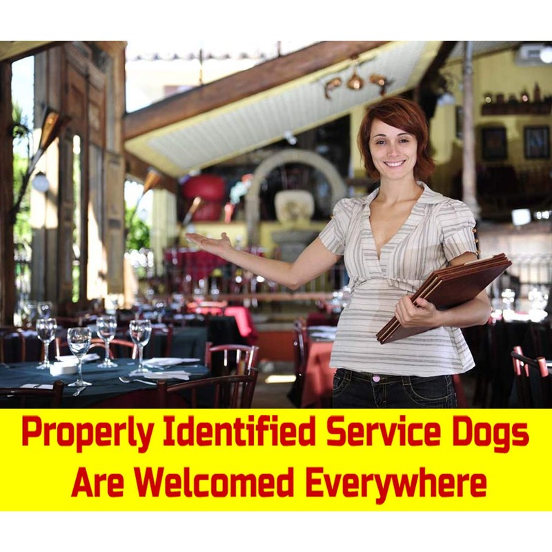 Just 4 Paws Custom Service Dog ID Card with QR