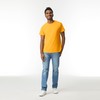Gildan Adult Ultra Cotton T-Shirt, Style G2000, Multipack, Gold (12-Pack),