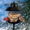 Cherry Valley Coach Lamp Bird Feeder Model 6200