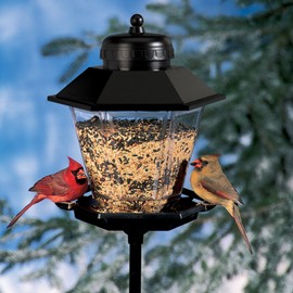 Cherry Valley Coach Lamp Bird Feeder Model 6200
